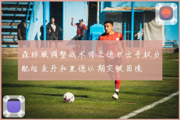 森林狼调整战术将兰德尔出手权分配给麦丹和里德以期突破困境